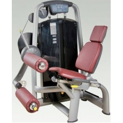 Technogym Selection Seated Leg Curl